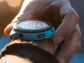 Molti sviluppatori hanno segnalato un problema che causa il blocco o l'arresto degli smartwatch Garmin. (Fonte: Garmin)