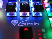 Tastiera meccanica Genesis Thor 400 RGB (Fonte: Notebookcheck)