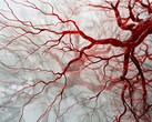La nuova tecnologia basata su PAT può essere utilizzata per catturare immagini rapide e prive di sfocature dei vasi sanguigni per una diagnosi tempestiva. (Fonte: Neuroscience News)