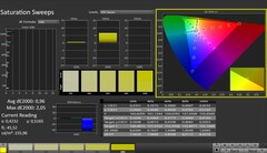 CalMAN: saturazione del colore (calibrata)