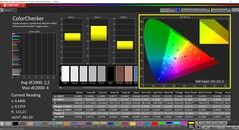 CalMAN ColorChecker (modalità: vivido, spazio colore di destinazione: P3)