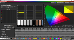 CalMAN ColorChecker (calibrato)