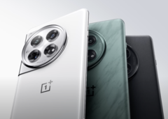 OnePlus offrirà il OnePlus 12 solo nel colore Glacier White con la configurazione di memoria entry-level. (Fonte: OnePlus)
