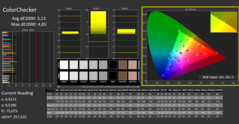 CalMAN: ColorChecker (calibrato)