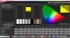 CalMAN ColorChecker calibrato