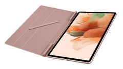 Il Galaxy Tab S7 FE potrebbe essere uno dei due vecchi tablet di Samsung che si aggiornano quest&#039;anno. (Fonte immagine: Samsung)