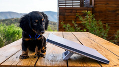 Starlink Mini è ora disponibile per l'acquisto (Fonte: Michael Nicolls/X)