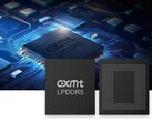 Nella foto: Il chip LPDDR5 di CXMT (fonte immagine: CXMT)
