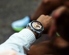 Il Garmin Connect IQ Store sta attualmente ritardando gli aggiornamenti delle app di diversi giorni.