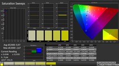 CalMAN: Saturazione (calibrato)