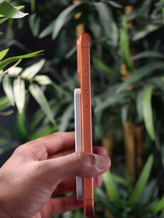 (Fonte: Ramal Media)