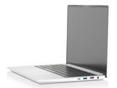 Oltre all'opzione di colore standard Deep Gray, la linea InfinityBook Pro 14 è ora disponibile anche in Ice Gray. (Fonte: Tuxedo)