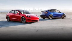 I ladri di auto mostrano scarso interesse per la Model 3 o la Model Y (immagine: Tesla)