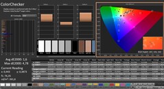 CalMAN: ColorChecker (calibrato)