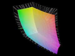 Copertura DisplayP3