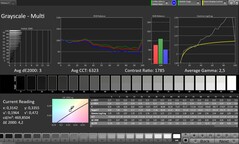 Scala di grigi CalMAN