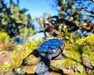 In prova: Samsung Galaxy Watch Ultra2