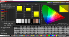 CalMAN ColorChecker calibrato (spazio colore target AdobeRGB)