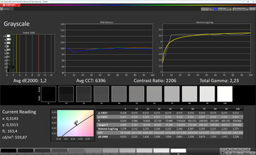 Display principale: scale di grigi (modalità colore: normale, temperatura colore: standard, spazio colore target: sRGB)