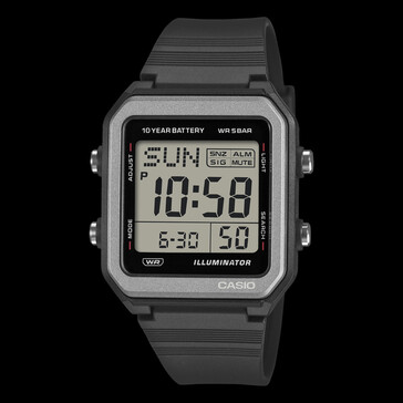 Il Casio W-221H-1A.