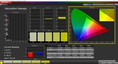 CalMan ColorChecker - Saturazione