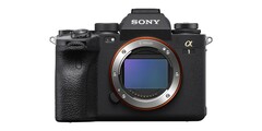 Una fotocamera digitale Sony. (Fonte: Sony)
