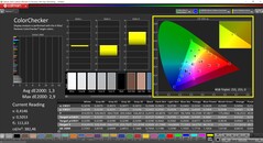 CalMAN ColorChecker (profilo: sRGB, spazio colore di destinazione: sRGB)