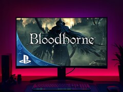Bloodborne versione PC visto sul monitor di gioco (Fonte: Sony PlayStation con modifiche)