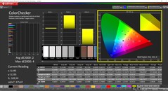 CalMAN ColorChecker (Profilo: Nativo, Spazio colore di destinazione: P3)