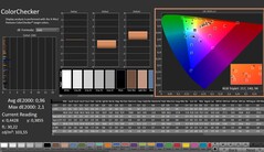 CalMAN: ColorChecker (calibrato)