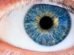 Utilizzando la stimolazione del cono M con la luce laser, i ricercatori sono riusciti a rendere visibile il colore finora sconosciuto 