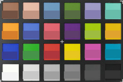 ColorChecker: La metà inferiore di ogni area di colore visualizza il colore di riferimento.