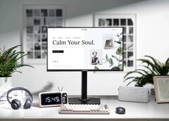 L'ultimo monitor di Hannspree utilizza un LCD transflettivo. (Fonte: HANNspree)