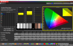 CalMAN ColorChecker calibrato