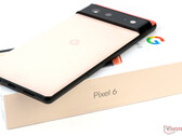 La serie Pixel 6 sta ricevendo l'aggiornamento di dicembre 2021. (Fonte: NotebookCheck)
