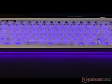 La luce anteriore/di base consuma molta batteria.