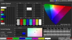 CalMAN spazio colore (profilo: Intenso; spazio colore: sRGB)