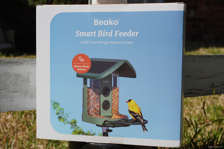 I regali sono fortemente consigliati 