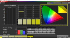 Saturazione CalMAN calibrata (spazio colore target: P3)