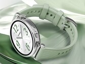 Huawei sembra intenzionata a rinnovare il Watch GT 4 per la seconda volta. (Fonte immagine: @MysteryLupin)