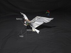 Un'immagine di RoboFalcon2.0 (Fonte: ricercatori; modifica)