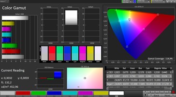 CalMAN: Spazio colore - Ampio profilo di gamma cromatica, spazio colore target AdobeRGB