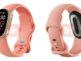 Il Google Fitbit Edge