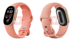 Il Google Fitbit Edge