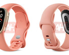 Il Google Fitbit Edge