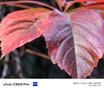 Vivo X300 Pro: Campione fotografico