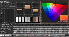 CalMAN: ColorChecker (calibrato)