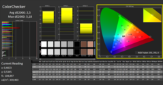 CalMAN - Color Checker (calibrato)