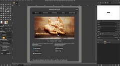 GIMP 3.0 sta per essere rilasciato e introdurrà una serie di funzioni rivoluzionarie nell'alternativa gratuita a Photoshop. (Fonte: Julian van der Merwe / Notebookcheck)