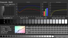 CalMAN: Scala di grigi